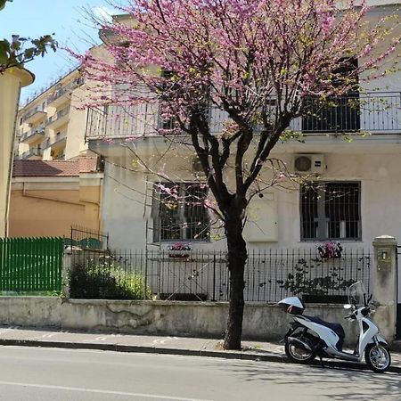 L'Acchiappasogni Casa Vacanze كاستيلاّماري دي ستا المظهر الخارجي الصورة
