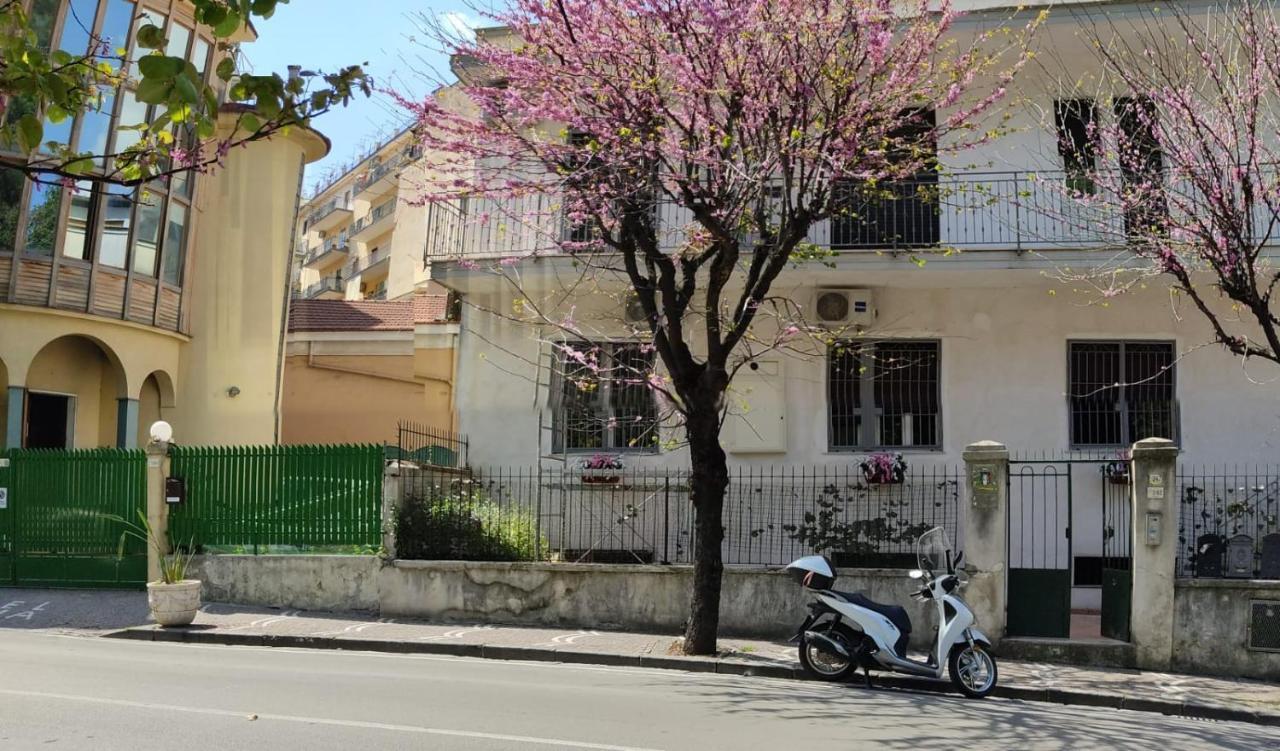 L'Acchiappasogni Casa Vacanze كاستيلاّماري دي ستا المظهر الخارجي الصورة